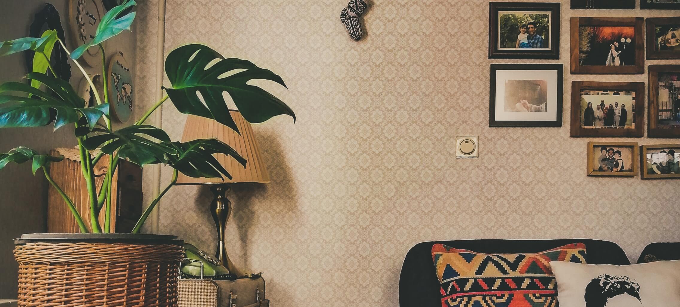 nasim keshmiri q248iwcW3sY unsplash (1)@2x